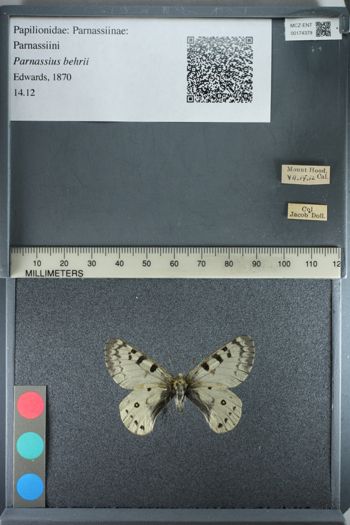 Media type: image;   Entomology 174379